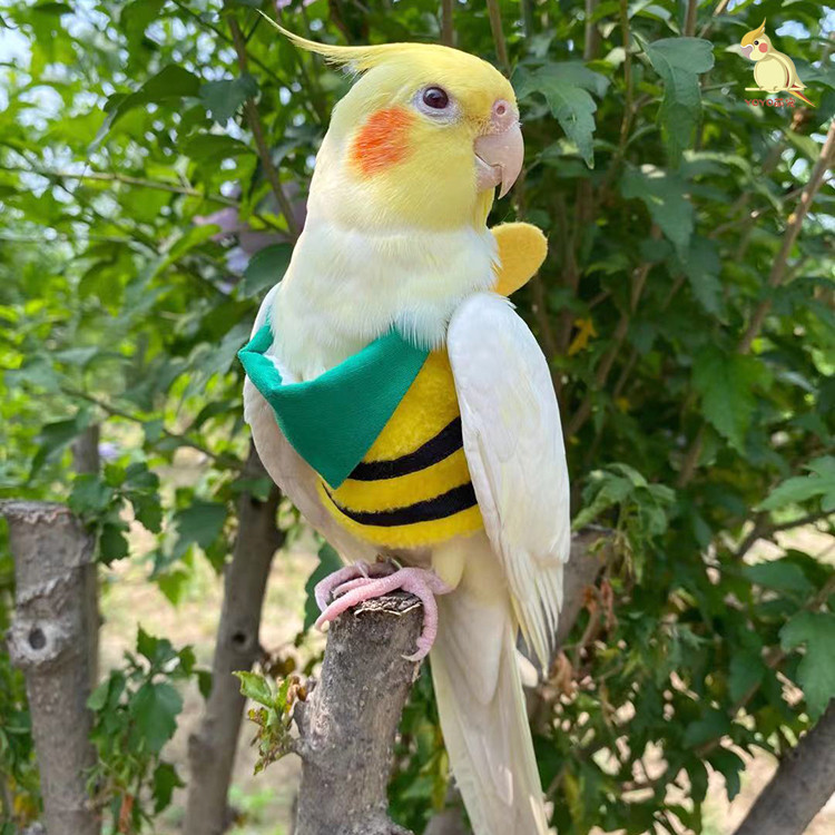 玄凤飞行服屎兜鹦鹉牡丹虎皮可调节立体定制遛鸟衣超轻西装礼服衣