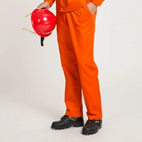 160/s носить 100 ~ 110 кот