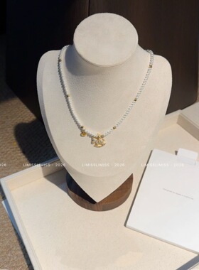 法式简约小香风带钻小马吊坠珍珠项链温柔气质轻奢小众高级锁骨链