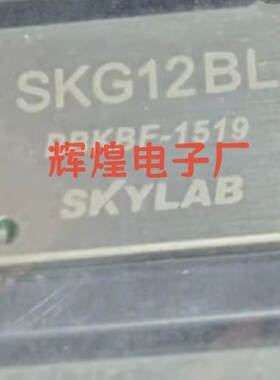 SKG12BL 封装SMD贴片 全新原装