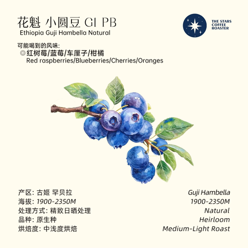 葡萄莓果甜感埃塞手冲咖啡豆
