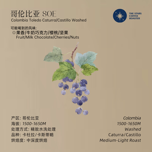 星辰深烘哥伦比亚浓郁美式拿铁