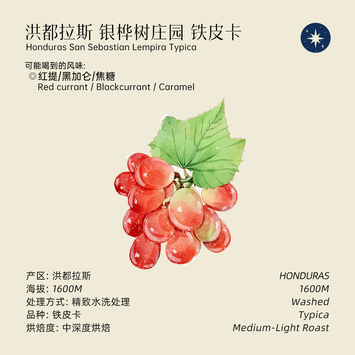 星辰洪都拉斯花果香手冲咖啡豆