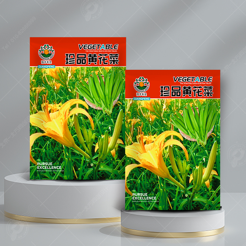 食用高产黄花菜种子种籽金针菜苗根庭院四季种植花盆栽金针菜蔬菜