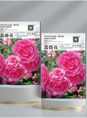 爬藤蔷薇花种子浓香大花重瓣月季玫瑰爬墙花种籽四季种植鲜花种子