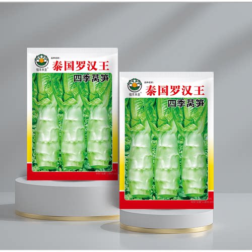 罗汉王莴笋种子四季种植