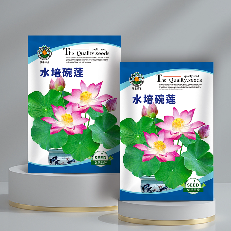 碗莲种籽孑四季荷花睡莲开花水培植物适合室内外盆栽铜钱草草种子
