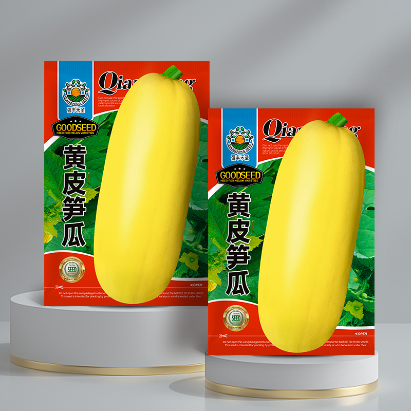 黄皮大笋瓜种子南瓜白玉瓜角瓜种籽高产春秋季四季吊瓜蔬菜种孑