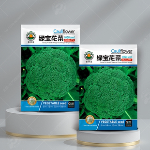西兰花种籽孑西兰花种子蔬菜花菜种子苗菜花秧苗花苗西兰花菜种籽