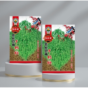 干枝梅摘不败高产豇豆种子绿条特长豆角春播架豆蔬菜四季 春夏种籽