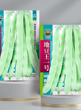 新地豆王一号种子白不老豆角种子 无架四季豆 早熟抗病 宽荚白莲