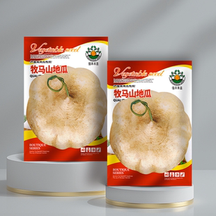 牧马山地瓜种籽早熟高产凉薯种子水果沙葛凉瓜土瓜种农家蔬菜种孑