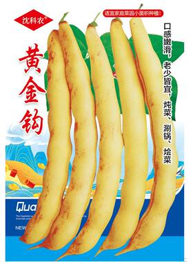 东北红黄金钩豆角种子四季易种