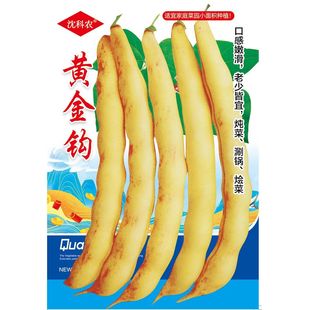 东北黄金勾钩豆角种子种籽沟扁豆芸豆红豆角四季黄金钩油豆大全