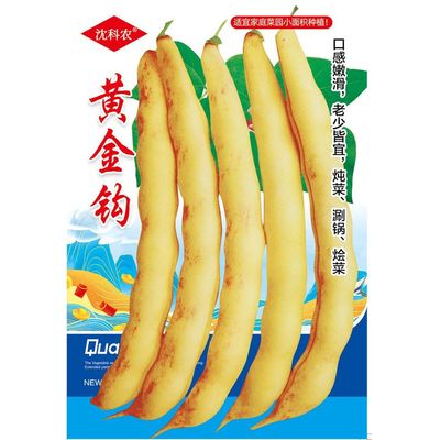 东北黄金勾钩豆角种子种籽沟扁豆芸豆红豆角四季黄金钩油豆大全