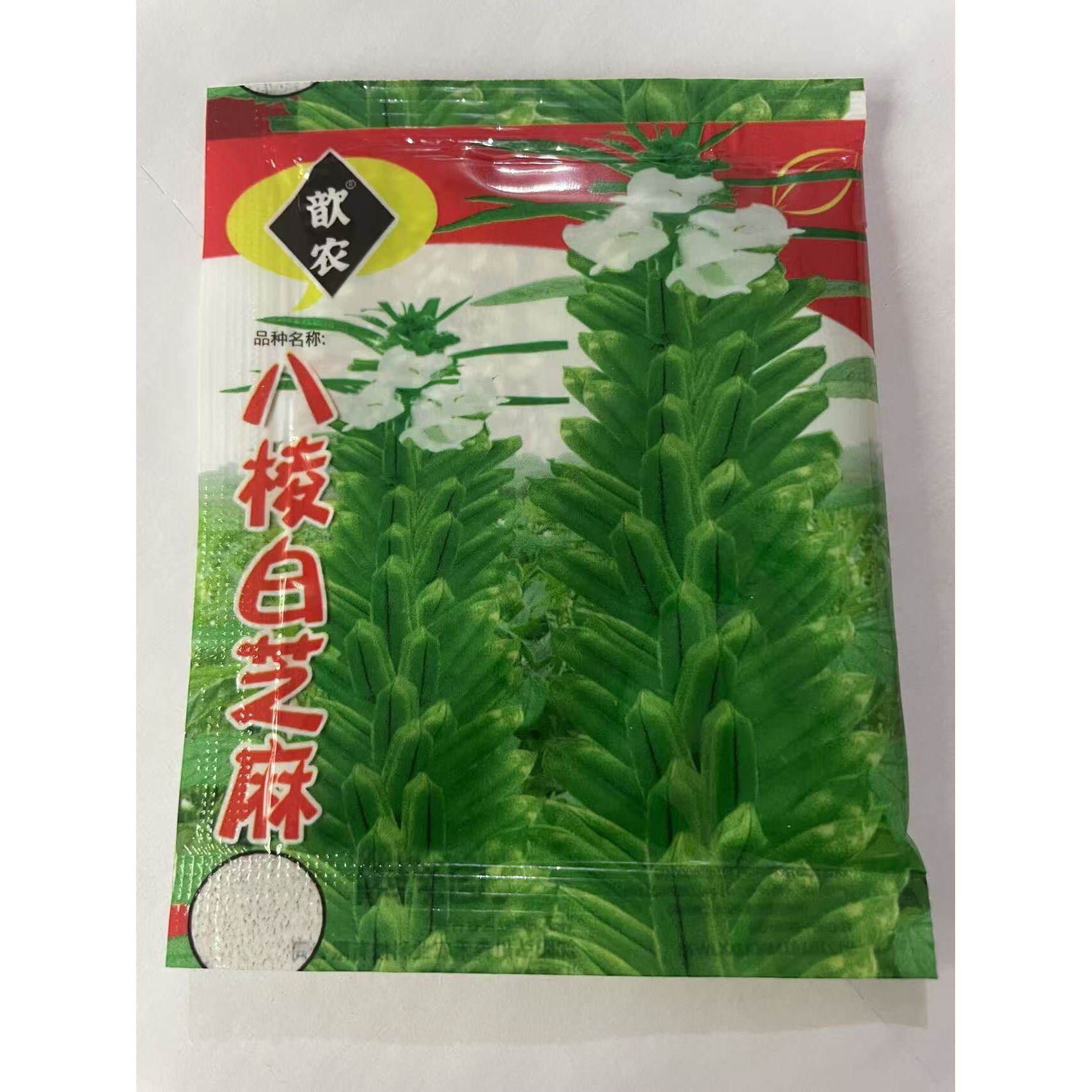 老品种八棱白芝麻种子高油高产图片