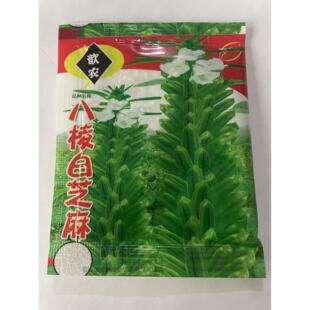 老品种八棱白芝麻种子高油高产芝麻种籽抗病抗倒伏黑芝麻籽大田种