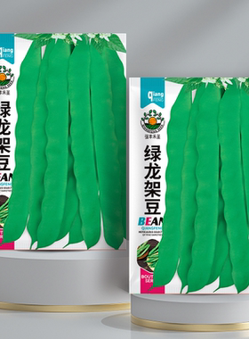绿龙架豆王豆角种子 高产早熟爬藤扁芸豆大四季豆种籽宽扁豆蔬菜
