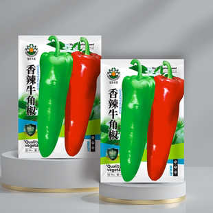 香辣牛角椒辣椒种子大果羊角青椒尖椒辣椒苗种籽微辣春季播种辣椒