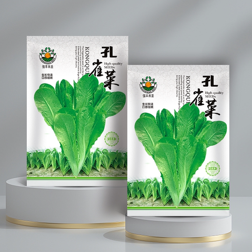 约2000粒孔雀菜种子生吃脆甜高营养四季生菜种子盆栽阳台专用蔬菜