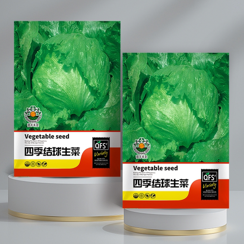 结球生菜种子球生菜种籽包心球形冬季四季盆栽球种蔬菜菜籽孑籽种