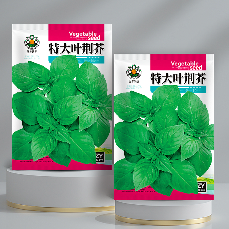 荆芥种子河南大叶荆芥菜种籽四季小青菜种籽农家田园盆栽蔬菜种子,鲜花速递/花卉仿真/绿植园艺,家庭园艺种子,淘宝优惠券,粉丝福利购,淘宝优惠卷