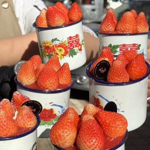 网红同款草莓搪瓷杯复古大红双喜搪瓷杠子生日圣诞蛋糕装饰配件