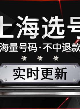 上海自编车牌号新能源占用