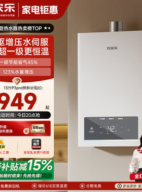 万家乐超安睡燃气热水器1级恒温节能16升静音家用天然气TS6/P3PRO