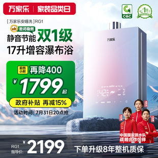 政府补贴万家乐安睡洗燃气热水器家用16升天然气恒温下置风机RG1
