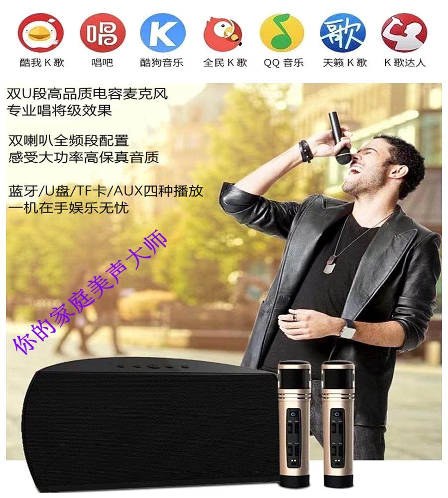 蓝牙音箱k歌音响双U段专业电容麦双喇叭大功率HiFi现场感美声大师