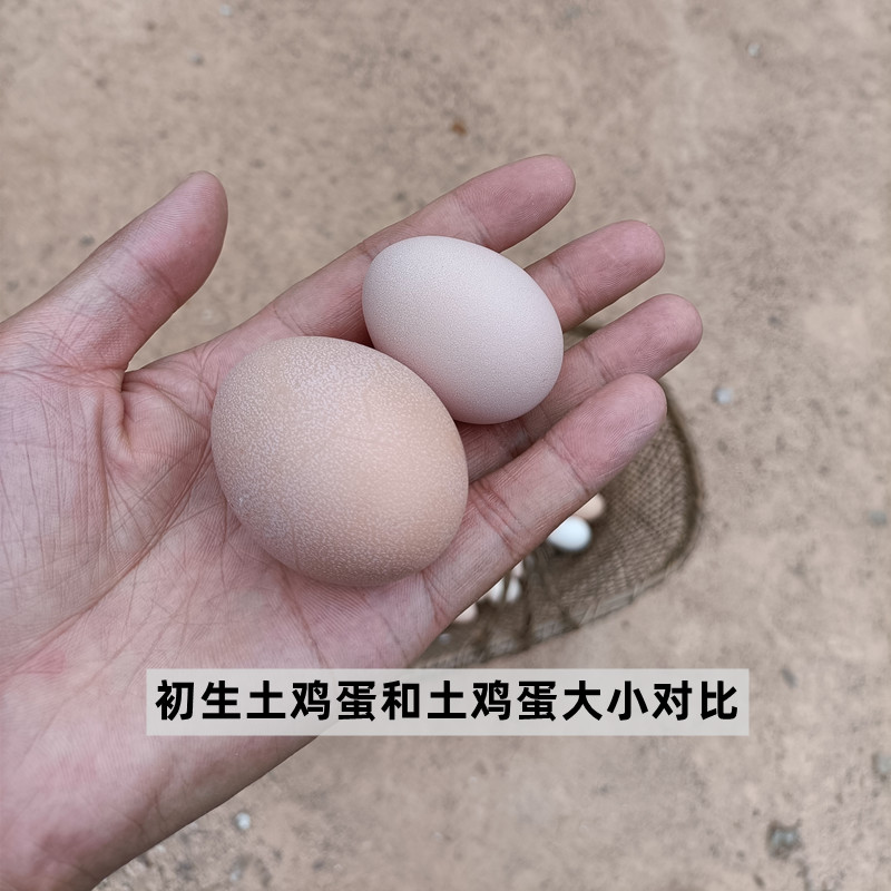 初生蛋聪明蛋农家散养土鸡蛋