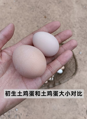 初生蛋聪明蛋农家散养土鸡蛋