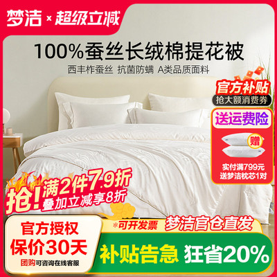 梦洁家纺100%蚕丝被四季被子长绒棉二合一子母被芯春秋被冬被清森