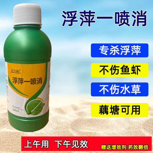 浮萍一喷消藕塘不伤荷叶除浮萍药