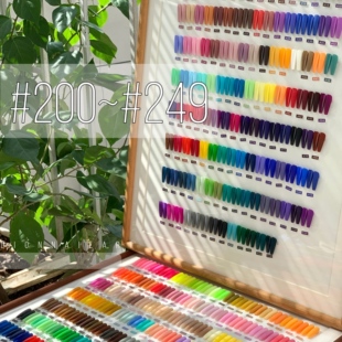 搭配 彩绘色块 法式 纯色系列 200～ 式 UV不可卸光疗胶3g 249 款