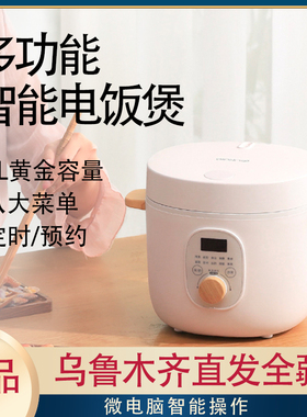 ankale2L智能2-人迷你电饭煲