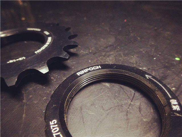 Pignon de vélo RINPOCH - Ref 2366223 Image 1