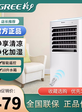 格力家用遥控制冷风空调扇加湿负离子风扇冷风机加冰水 KS-10X63D