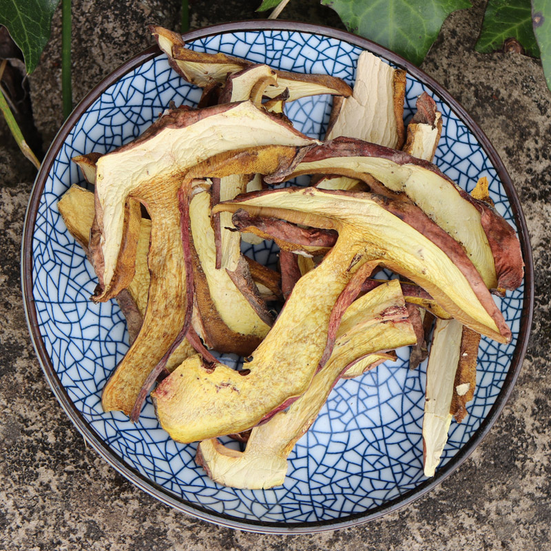 云南野生菌黄牛肝菌食用菌