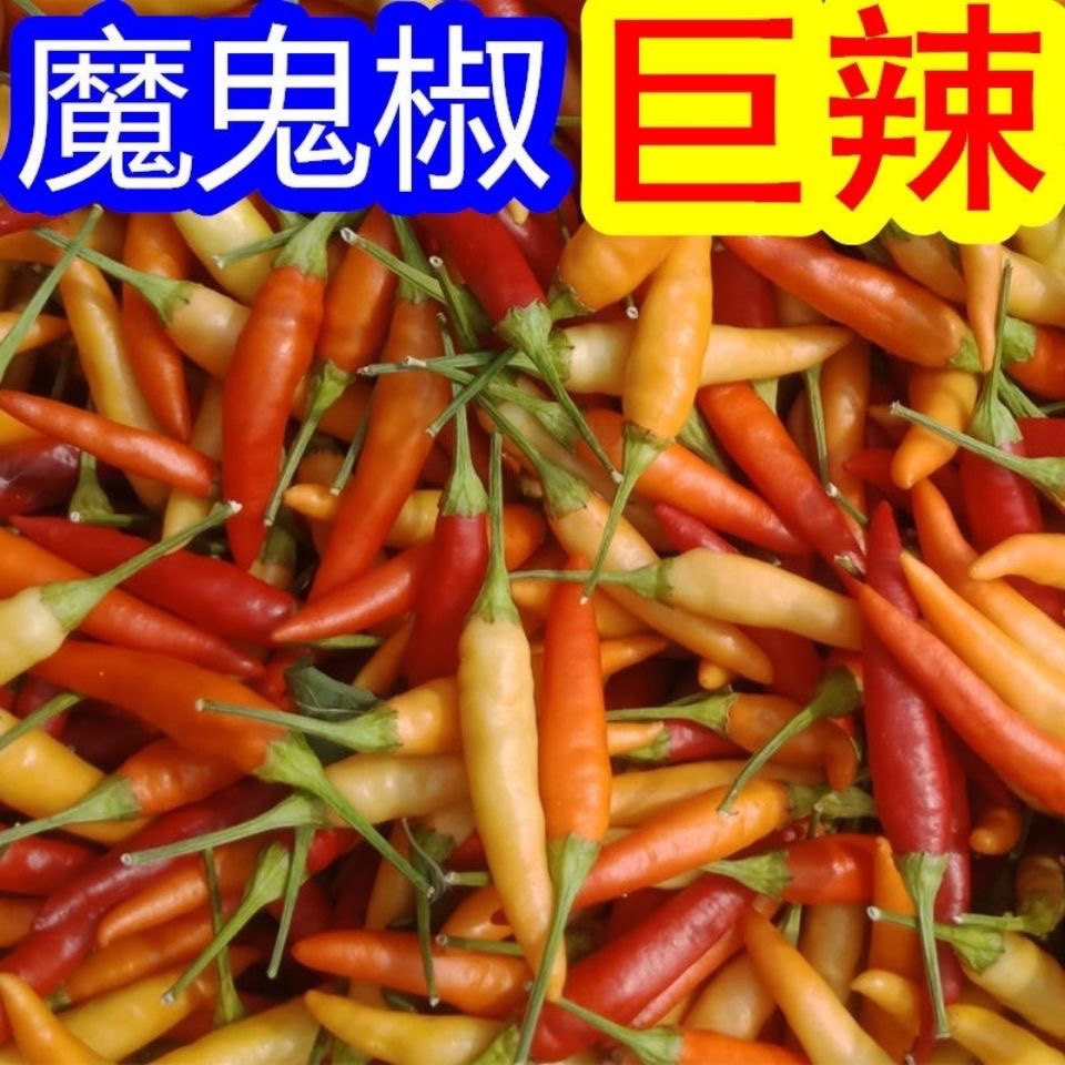 新鲜野山椒泡椒小米辣野山椒