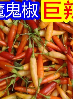 新鲜野山椒泡椒小米辣野山椒