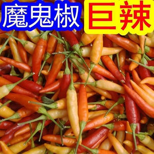 红黄野山椒新鲜特辣泡椒尖椒海椒小米辣剁椒魔鬼辣椒朝天椒1-5斤