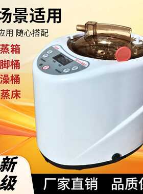 熏蒸机家用蒸汽机泡脚机器汗蒸仪