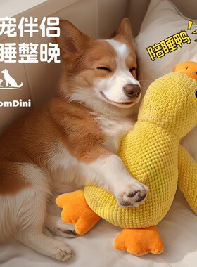 狗狗丰容玩具毛绒陪睡小黄鸭耐咬磨牙发声解闷猫咪宠物玩具冲锋鸭