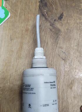 FDU91-RG4AA E+H液位计探头 工业自动化配件 D-79689议价维修