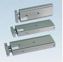 双轴气缸TR16-10X20X30X40X50X60*75*80X100X125X150X200-S