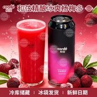 新品和弦冰爽杨梅多Fresh Bayberry原萃绿茶酸艾尔精酿啤酒500ml