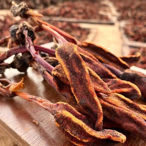 回春草云南深山不老草顶天柱泡水泡酒男性滋补500g新货正宗中药材