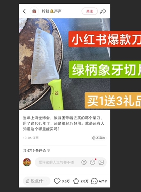 小红书 世博会爆款 上海希尔曼HILLMANN一代绿柄3CR13切片刀 菜刀